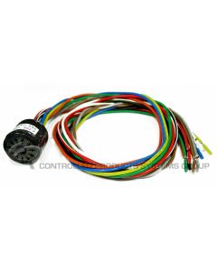 EDI Loop Detector 11 Pin Harness 2ft