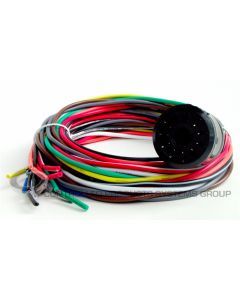 EDI Loop Det. 11 Pin Harness 4' mesh sleeve