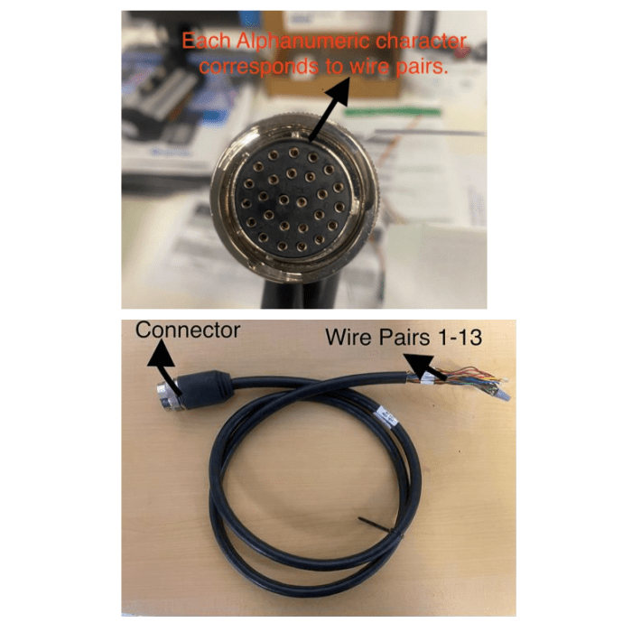 Transcore, LP 5 foot cable w/ connector